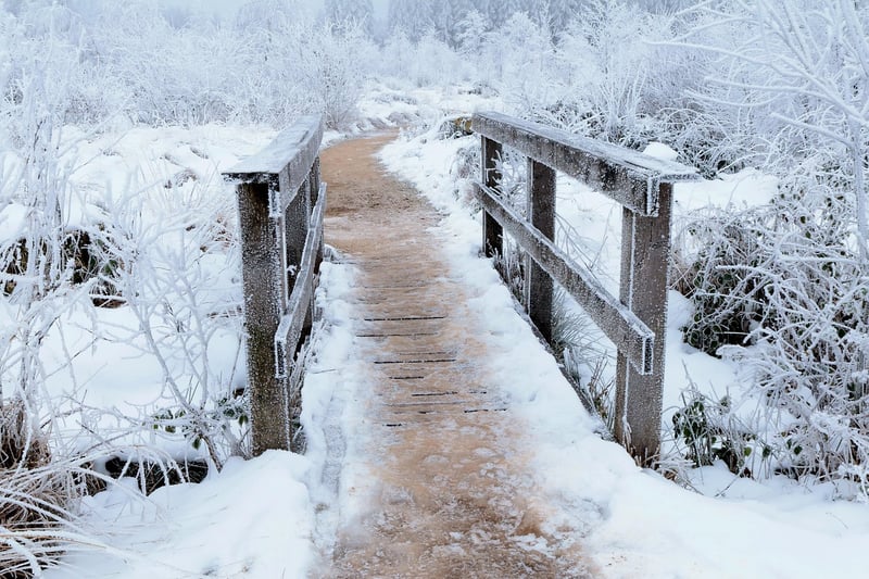 Secret Pathways